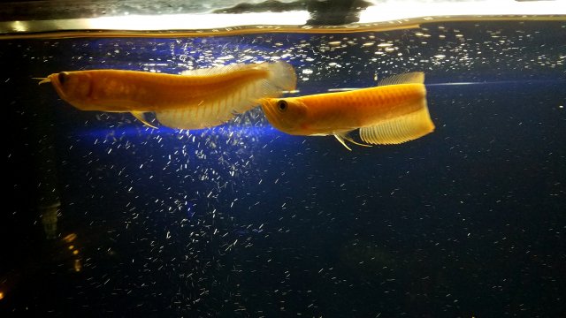 20190725_201456.jpg