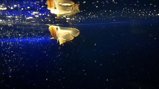 20190725_201451.jpg