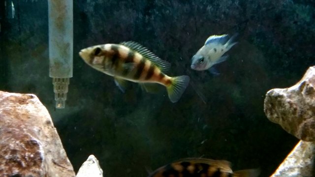 20190726_171847.jpg