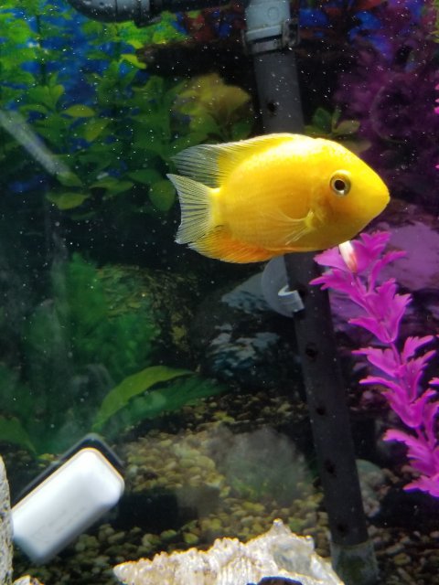 20180603_231255.jpg 20180603_231255.jpg