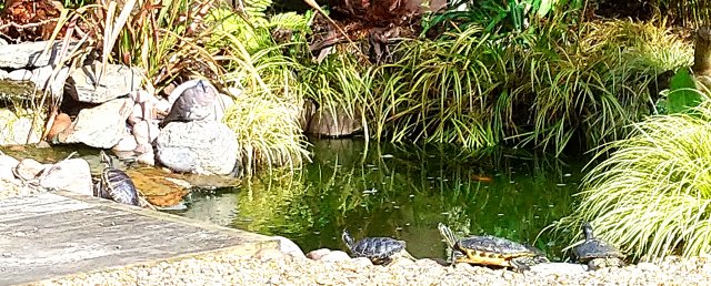 _20190721_092123.JPG _20190721_092123.JPG