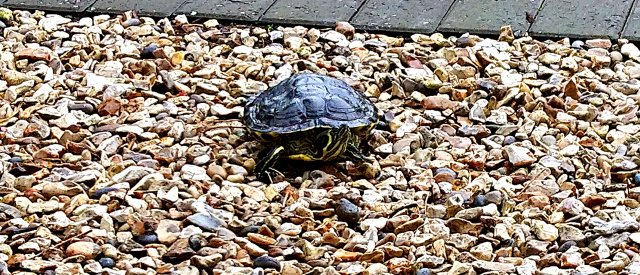 _20190727_203634.JPG
