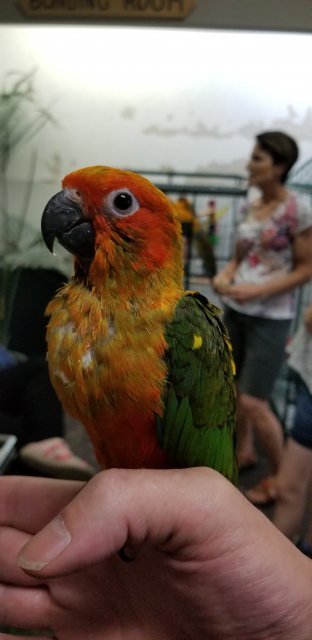20190727_172323.jpg