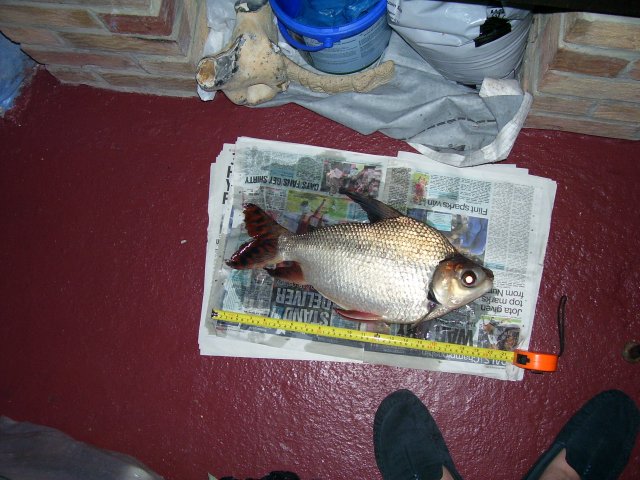 100_5220.JPG