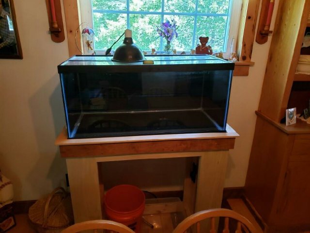 Tank3.jpeg Tank3.jpeg