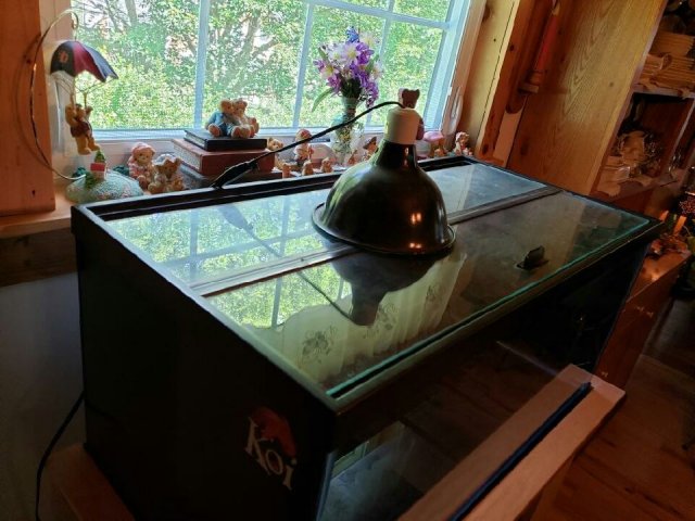 Tank7.jpeg Tank7.jpeg