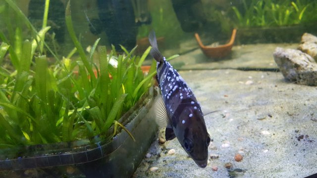 20190115_103437.jpg