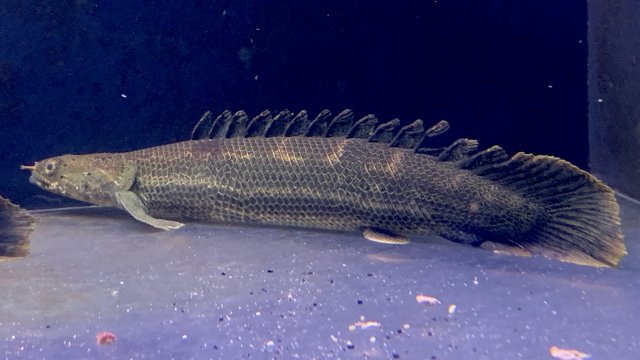 Shopee X Public Bank Promotion November 2021 Mypromo My