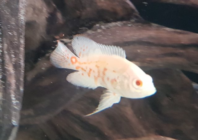 20190725_133341.jpg 20190725_133341.jpg