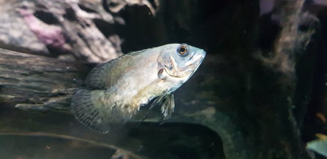 20190729_231058.jpg 20190729_231058.jpg