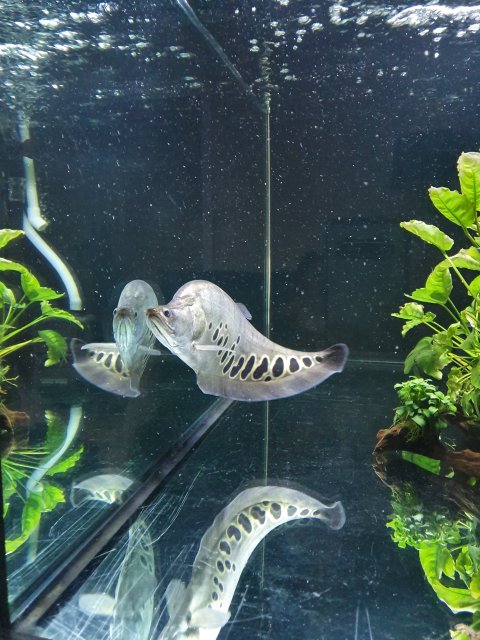 20190726_095424.jpg