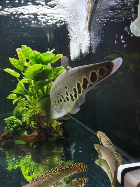 20190726_095351.jpg