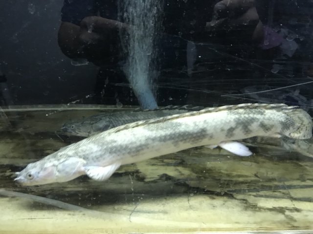F7FD6604-C7D3-4875-9075-5495695EA6FD.jpeg