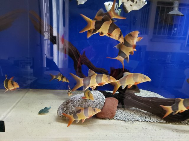 20190802_133205.jpg 20190802_133205.jpg