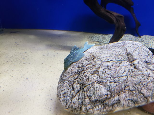 20190801_225348.jpg
