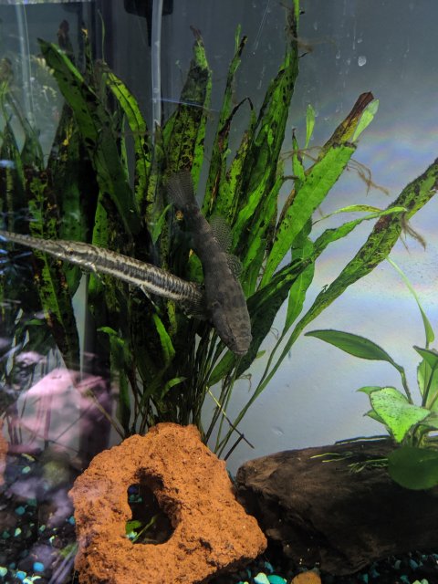 MVIMG_20190728_135511.jpg