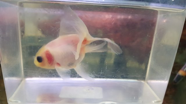 20190807_123715.jpg 20190807_123715.jpg