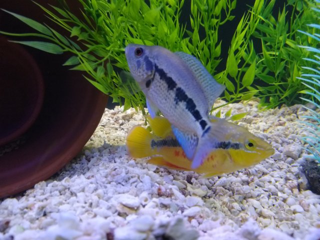 IMG_20190807_184911894.jpg IMG_20190807_184911894.jpg