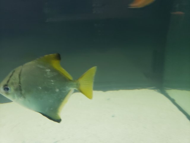 45601.jpeg 45601.jpeg