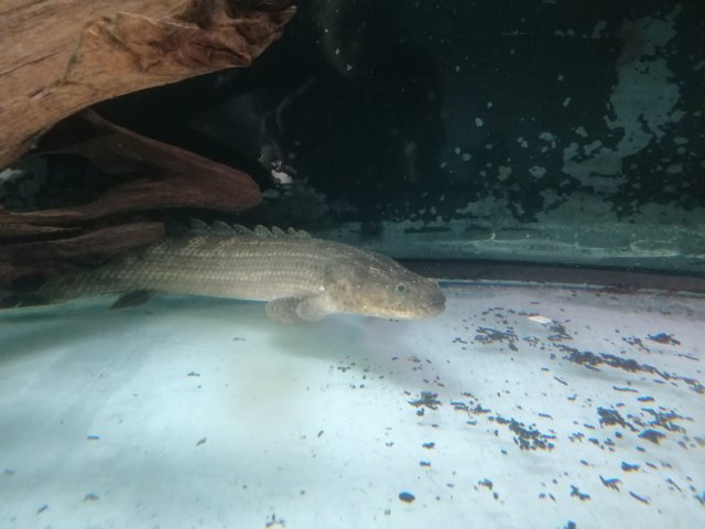 IMG_20190804_153638.jpg IMG_20190804_153638.jpg