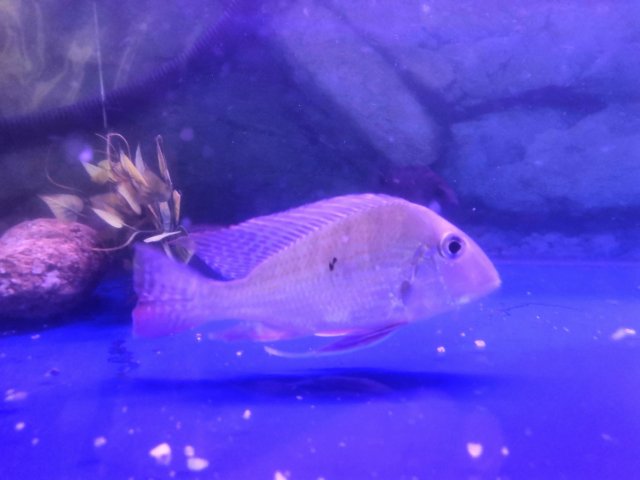 IMG_20190811_144123.jpg