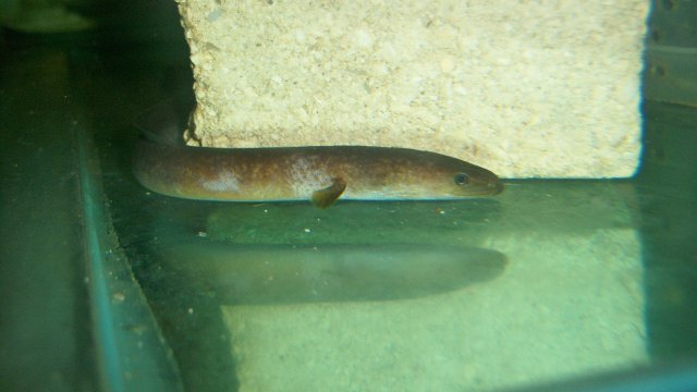 100_8521.JPG