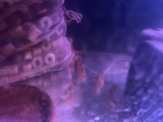 0A4A5FD5-FA28-4736-AF34-28F748312F46.jpeg
