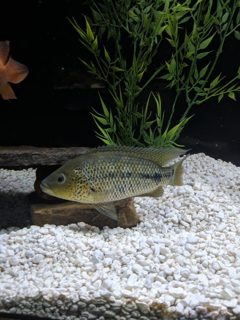 IMG_20190706_215119.jpg IMG_20190706_215119.jpg