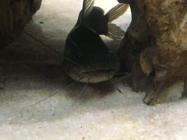 IMG_0926.JPG