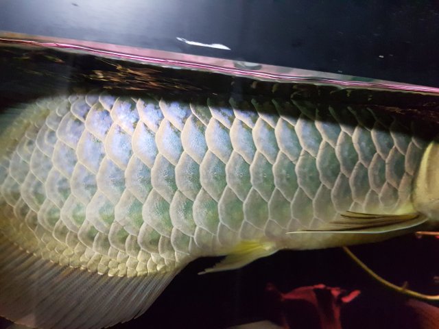 20180828_234948.jpg