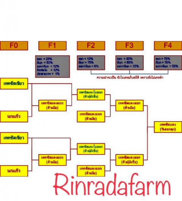 thai chart.jpg