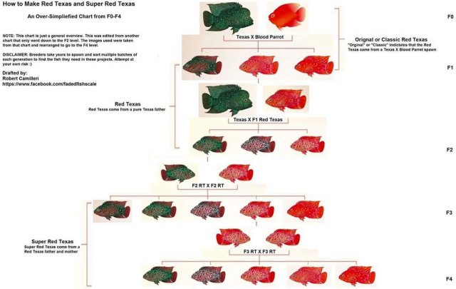 tx chart.jpg