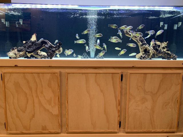 20181120_071522973_iOS.jpg 20181120_071522973_iOS.jpg