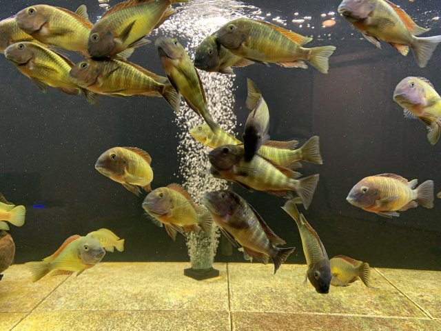 20190130_033043831_iOS.jpg 20190130_033043831_iOS.jpg