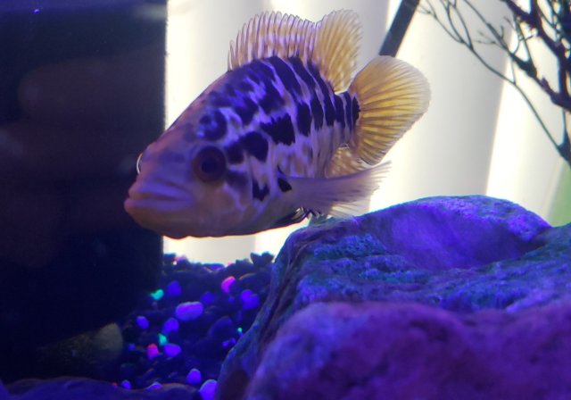 20190817_091733.jpg 20190817_091733.jpg