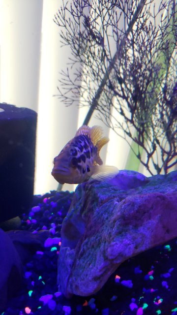 20190817_091729.jpg 20190817_091729.jpg