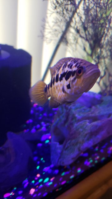 20190817_091717.jpg 20190817_091717.jpg