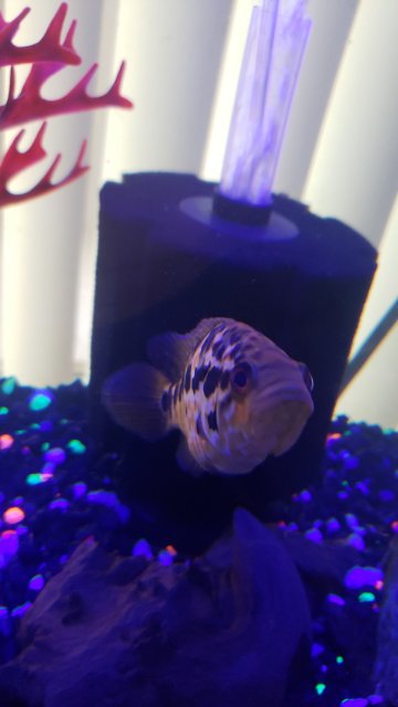 20190817_091711.jpg 20190817_091711.jpg