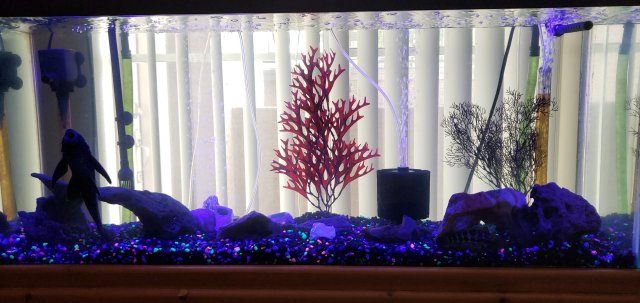 409871219960290083.jpg 409871219960290083.jpg