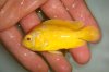 DSC00420.JPG