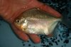 DSC00432.JPG