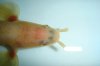 DSC00430.JPG