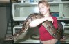 bigboa01.jpg
