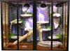 6 x 8 x 4 reptile cage front.jpg