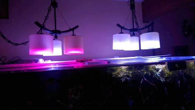 WP_20160227_001.jpg WP_20160227_001.jpg