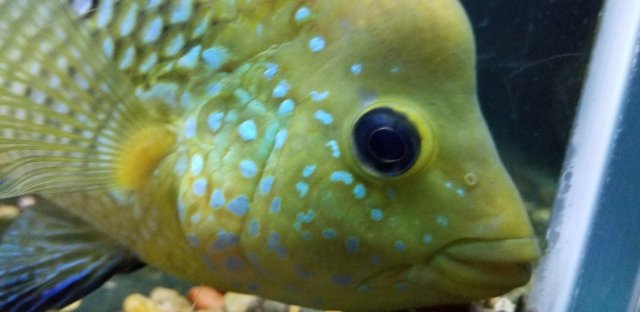 20190805_204112.jpg