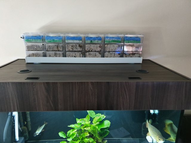 20190725_185034.jpg