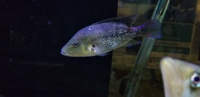 20190617_143916.jpg