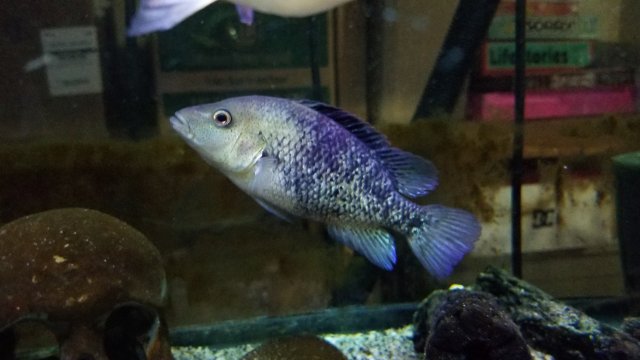 20190617_205206.jpg