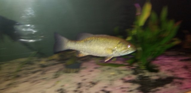 20190821_020020.jpg